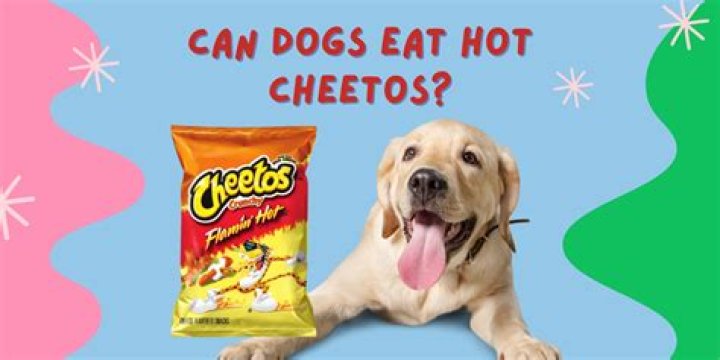 Can runners eat Hot Cheetos?
