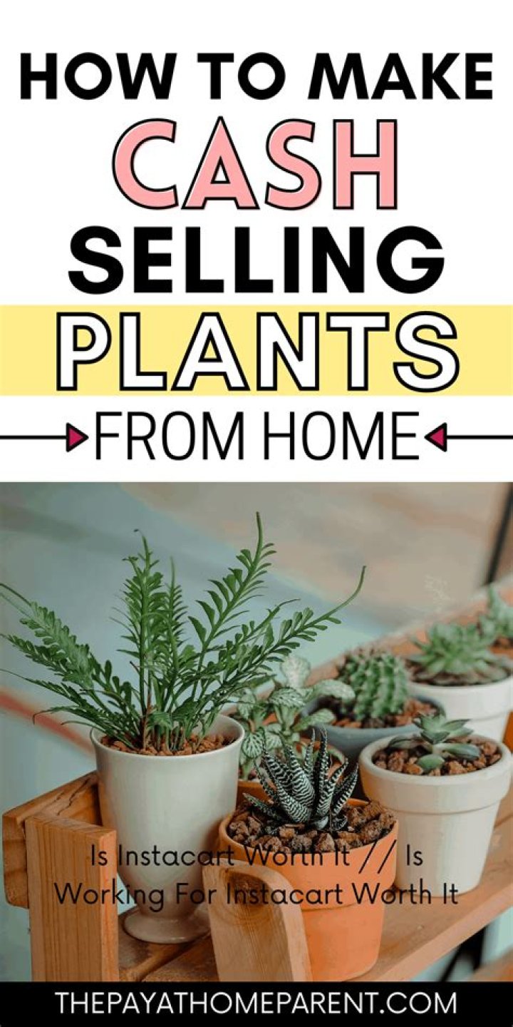 Can you make money selling plants from home?