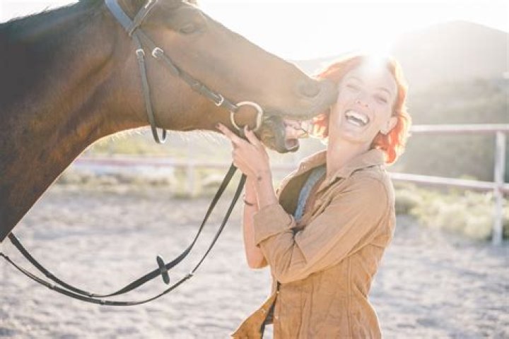 Do horses like people?