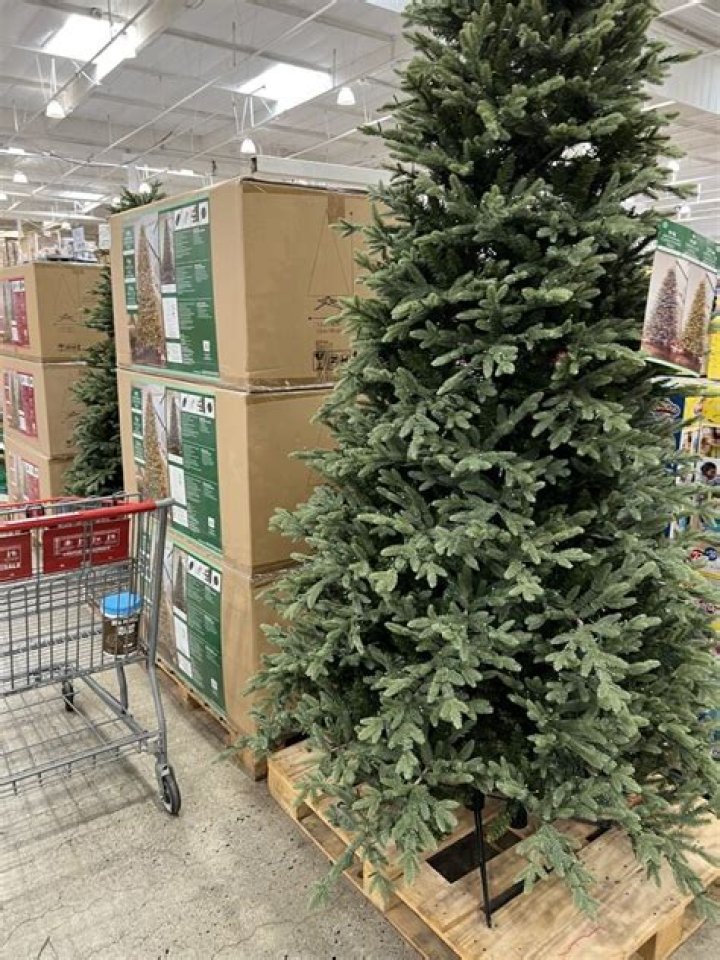 Do you have to spray a real Christmas tree?