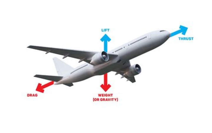 Does Tom Cruise really know how to fly a plane?