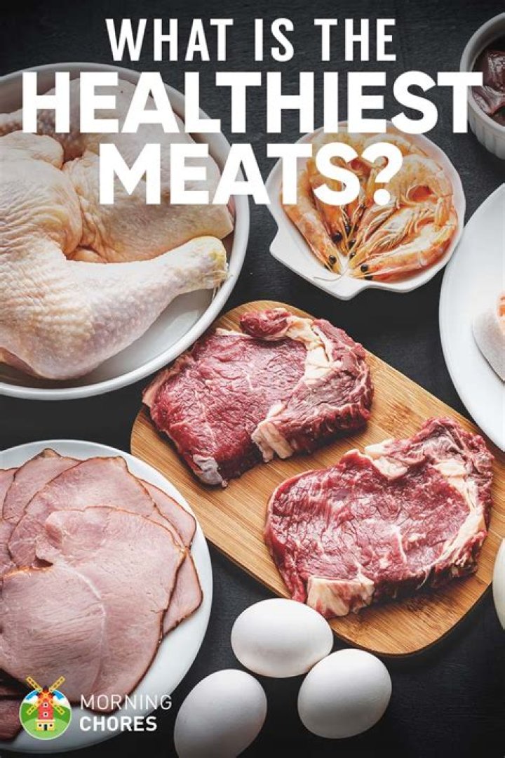 What are the 3 healthiest meats?