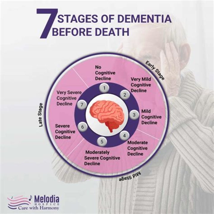 What are the top 3 diseases that cause dementia?