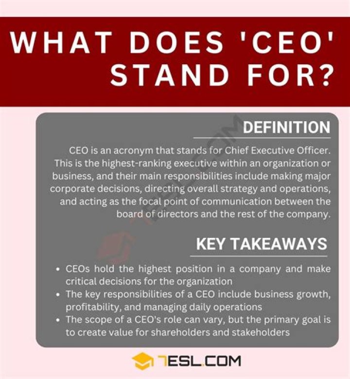 What does CEO stand for in TikTok?