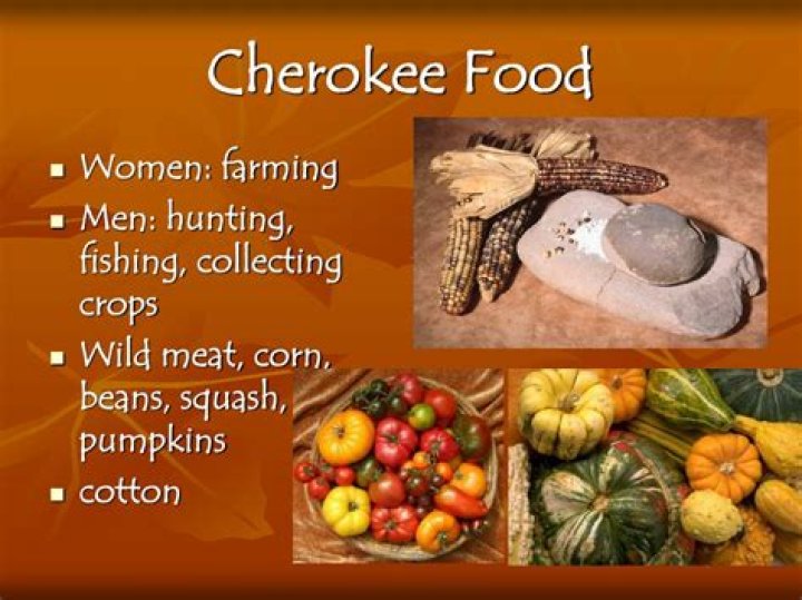 What food did the Cherokee eat?