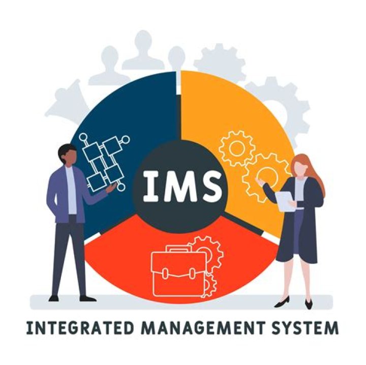 What is IMS Common Cartridge 1.1 Moodle?