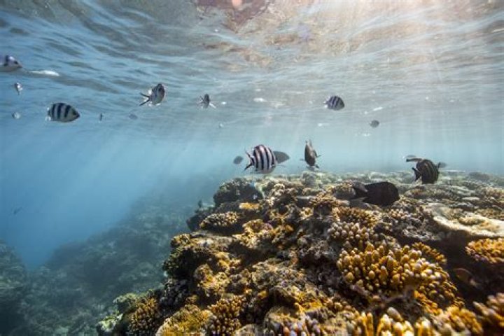 What is the best time of year to visit Great Barrier Reef?