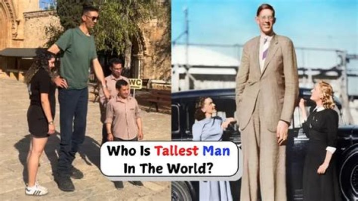 Who is the tallest op in siege?