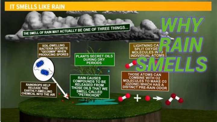 Why do I smell weird?