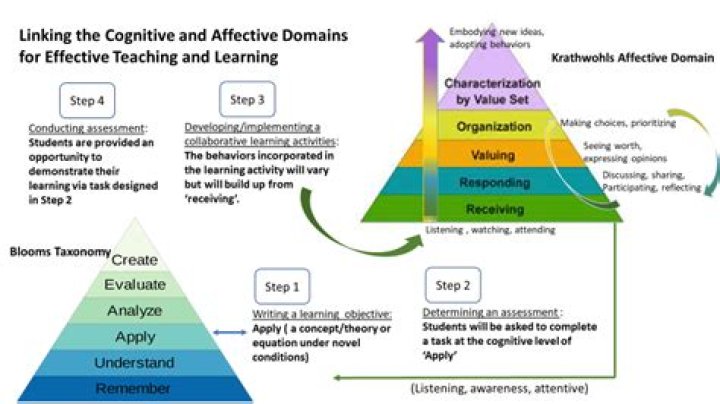 Why do teachers assess affective domain of teaching?