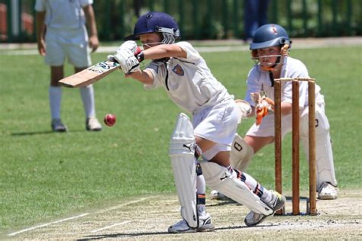 Why is cricket the most popular sport in Pakistan?