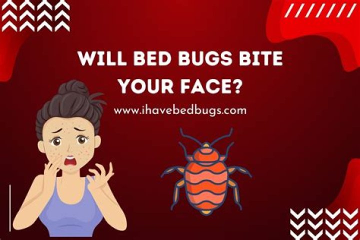 Will bed bugs bite your face?